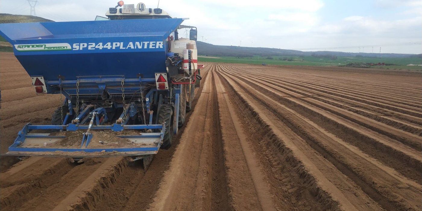 patatas-riomon-burgos-campo-cosechadora